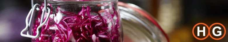 Fermenteren voor gevorderden