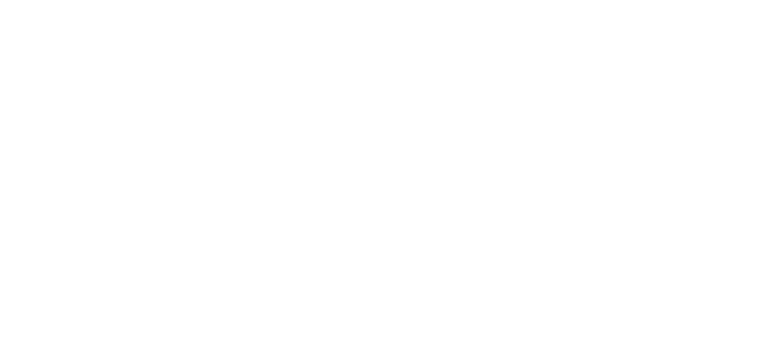 Logo DOT