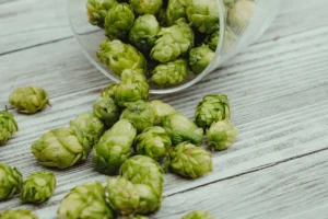 Horecagroningen newsflash week 38