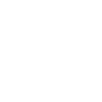 Logo The Social Hub