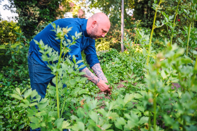 Groene Keuze - Onder den Linden - foto 4 - Fotograaf - Jasper Bolderdijk