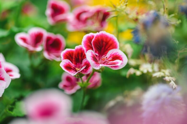 Groene Keuze - Herberg Restaurant Molenrij - foto 7 - Fotograaf - Jasper Bolderdijk