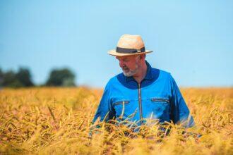 Van grond tot bord: Hoe een chef en een boer samen werken aan een duurzamere keten