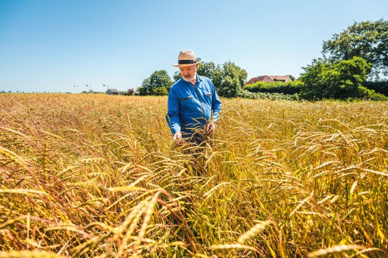 Groene Keuze - Landgoud - foto 6 - Fotograaf - Jasper Bolderdijk