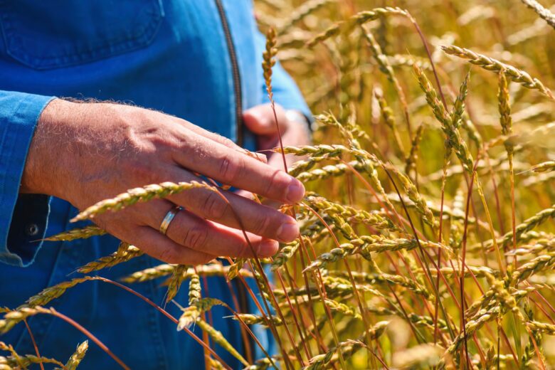 Groene Keuze - Landgoud - foto 7 - Fotograaf - Jasper Bolderdijk