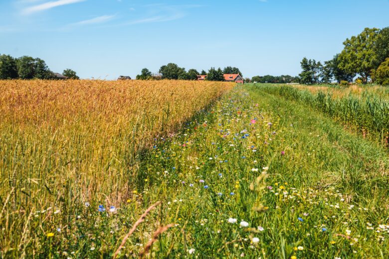 Groene Keuze - Landgoud - foto 9 - Fotograaf - Jasper Bolderdijk