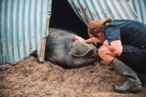 De Waddenslager en Voilà en Feu: eerlijk eten zónder keurmerk 