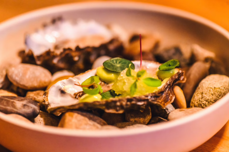 Groene Keuze - Dokjard - Harms Heerlijck-9